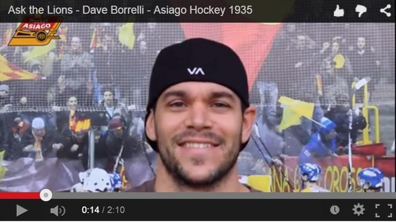 Ask the Lions - Dave Borrelli
